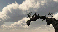 Floating Island